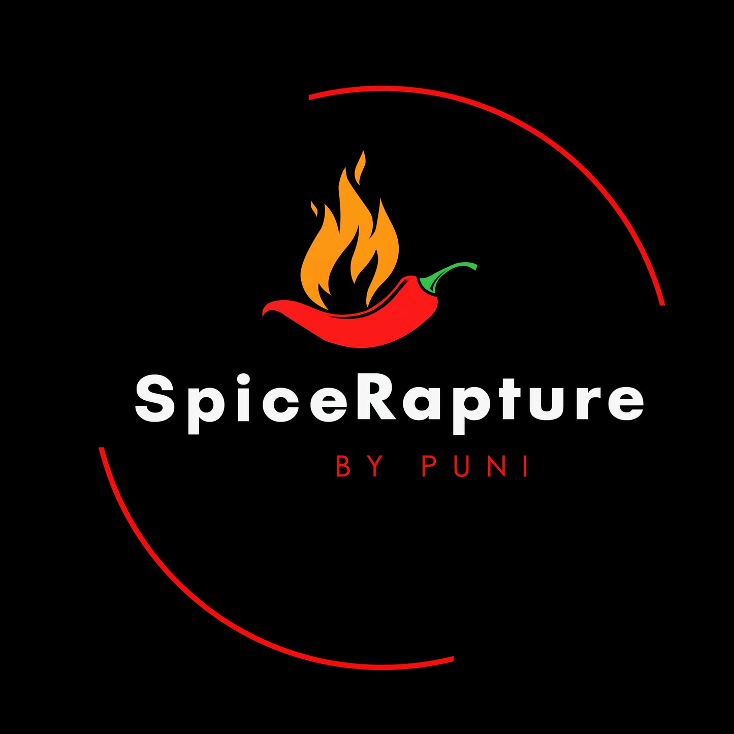 SpiceRapture Masala Chili Oil (VEGAN• CANOLA OIL • 250ML)